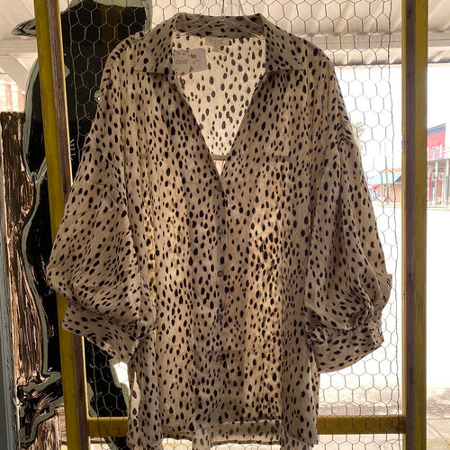 Curvaceous Taupe Blouse