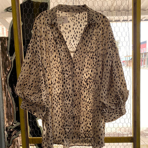 Curvaceous Taupe Blouse
