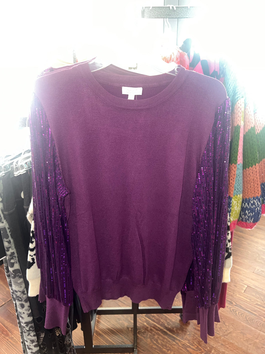Eggplant Sequin Sleeve Blouse
