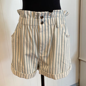 Stripe Denim Shorts