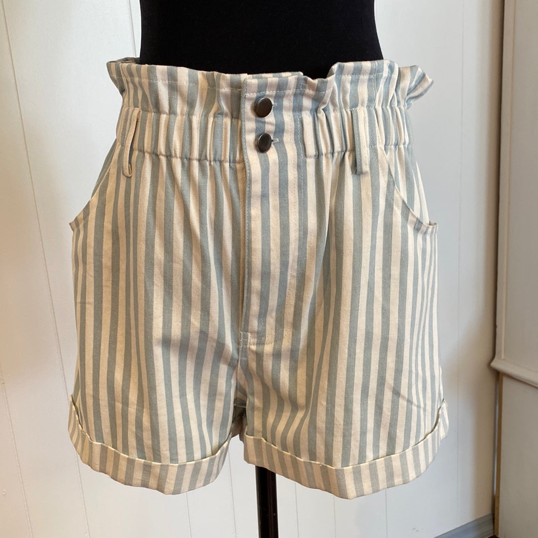 Stripe Denim Shorts